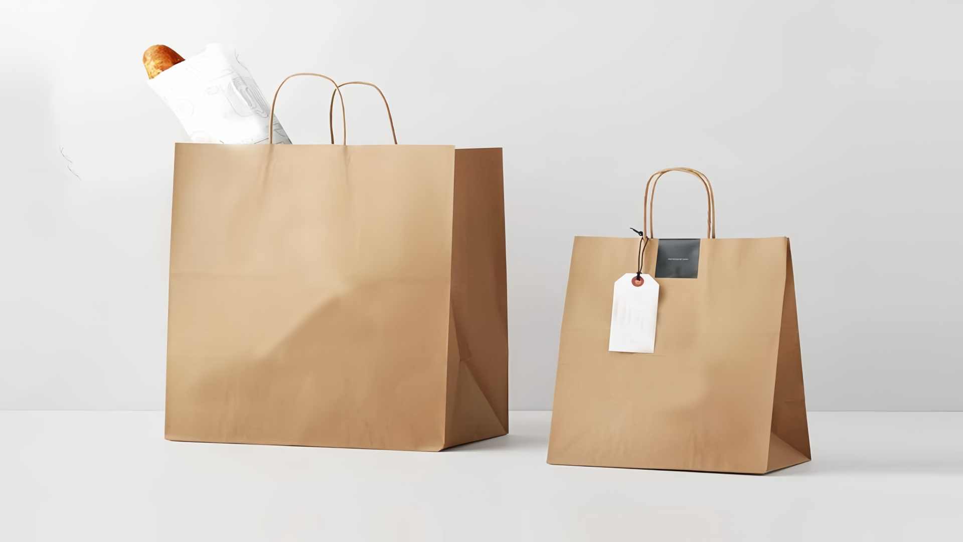 Brown Paper Bags Bulk - Introduction