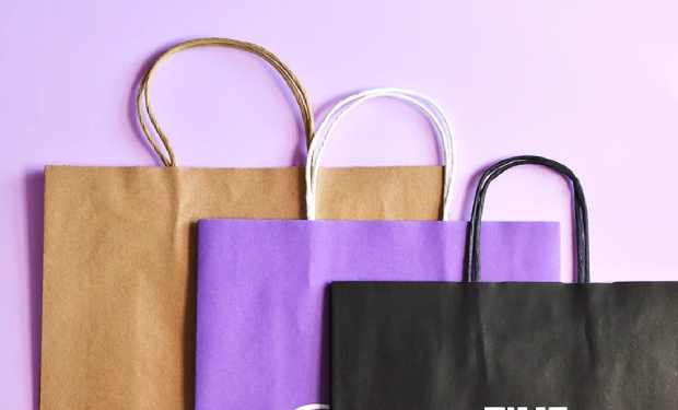paper bags with handles wholesale - twist handle