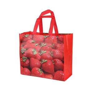 benutzerdefinierte hohe Qualität nicht gewebten Stoff wiederverwendbare Einkaufstasche heißer Verkauf wiederverwendbare Lebensmittelgeschäft Supermarkt Tasche 1