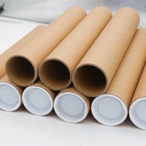 factory supply long white and brown paper tube with plastic cups for mailing shipping 2