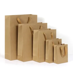 クラフト紙袋カスタム印刷リサイクル可能なショッピング服靴ピンク ギフト バッグ独自のロゴ - 1