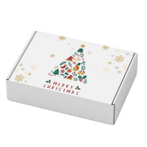 hot stamping e flute corrugated christmas gift box shipping box for packiging christmas 1