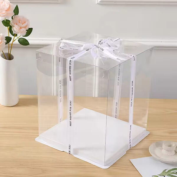 plastic cake box