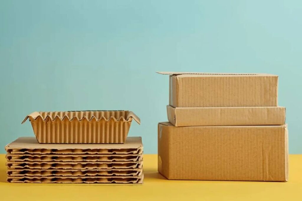 carton packaging vs corrugated box