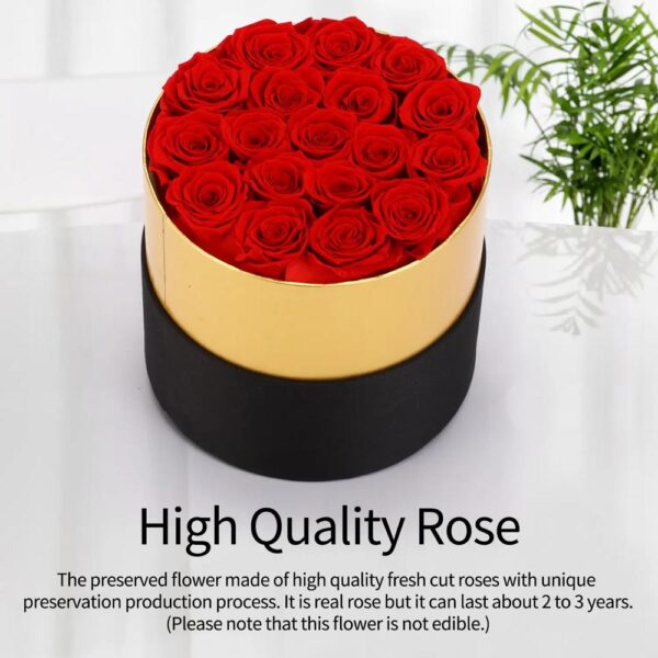 valentine's day gifts idea luxury round preserved real red rose flower box eternal forever rose in box gifts for women girl 4